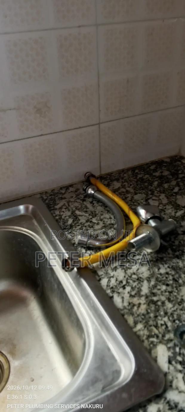 Peter Plumbing Services - main view