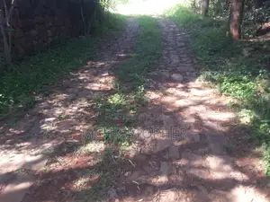 Beautiful Quarter Acre Plots in Ongata Rongai