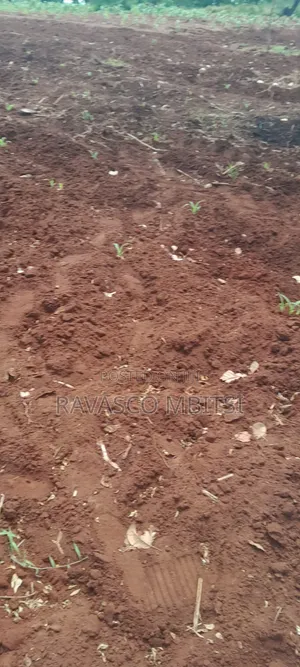 13 Acres Forsale in Kilifi Kakanjuni Sokoke.