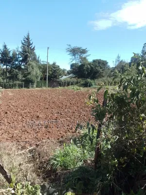 75 by 100 Plot Gitithia
