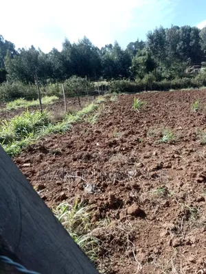 75 by 100 Plot Gitithia
