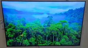 Samsung 55" QLED 4K Smart TV (QA55Q8FAAUXKE) + 19 Month Warranty