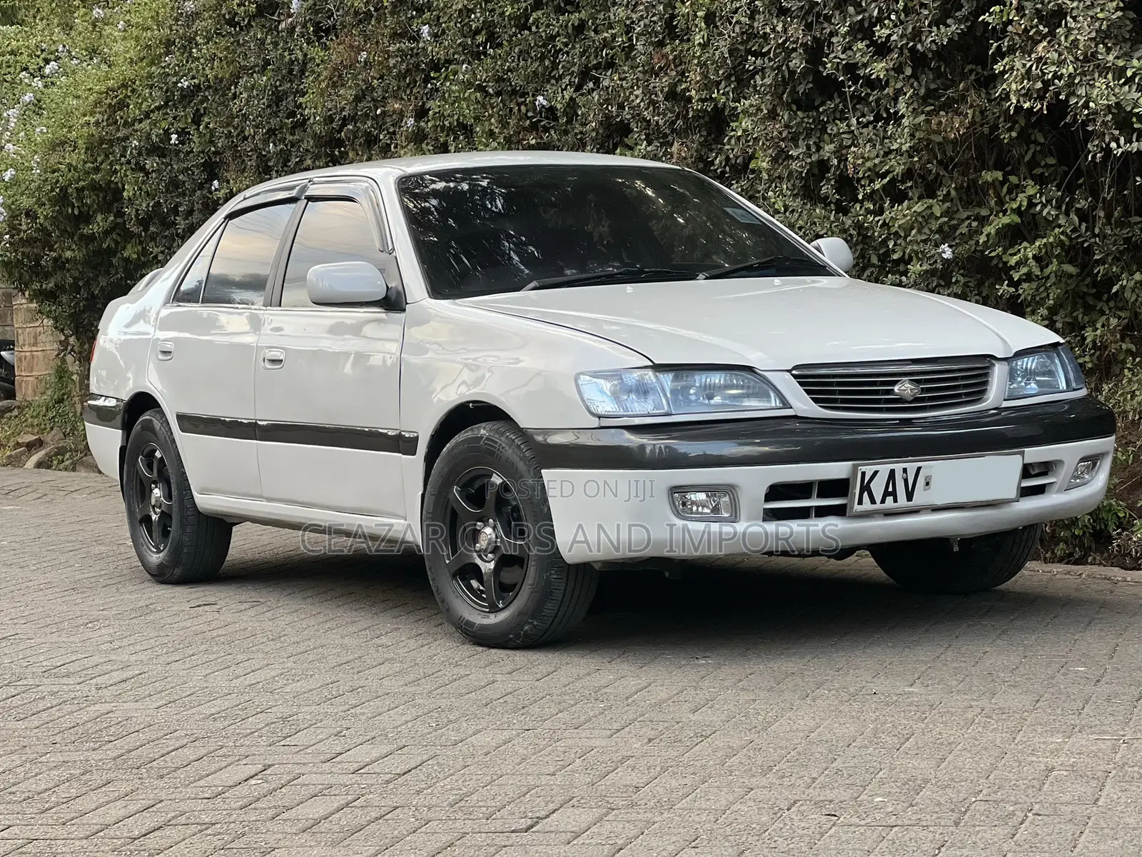Toyota Corona 1999 Pearl
