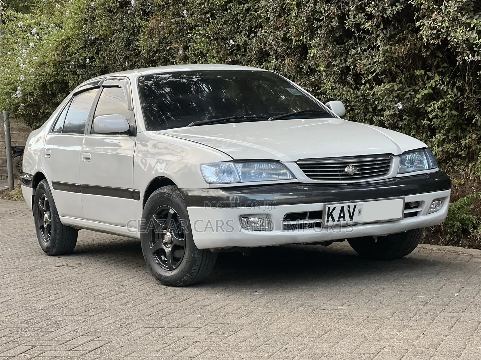 Toyota Corona 1999 Pearl