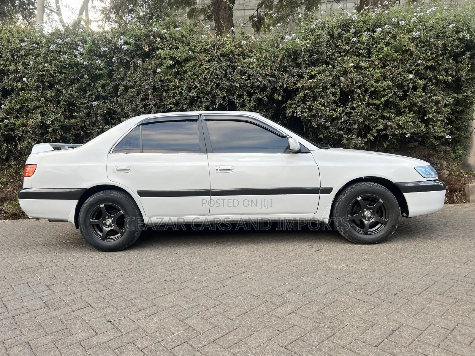 Toyota Corona 1999 Pearl