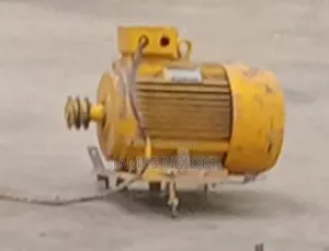 Electric Motor