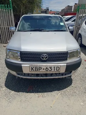 Toyota Probox 2007 Silver