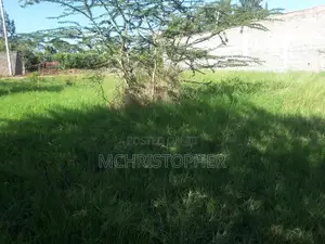 Lovely Quarter Acre Plots in Ongata Rongai