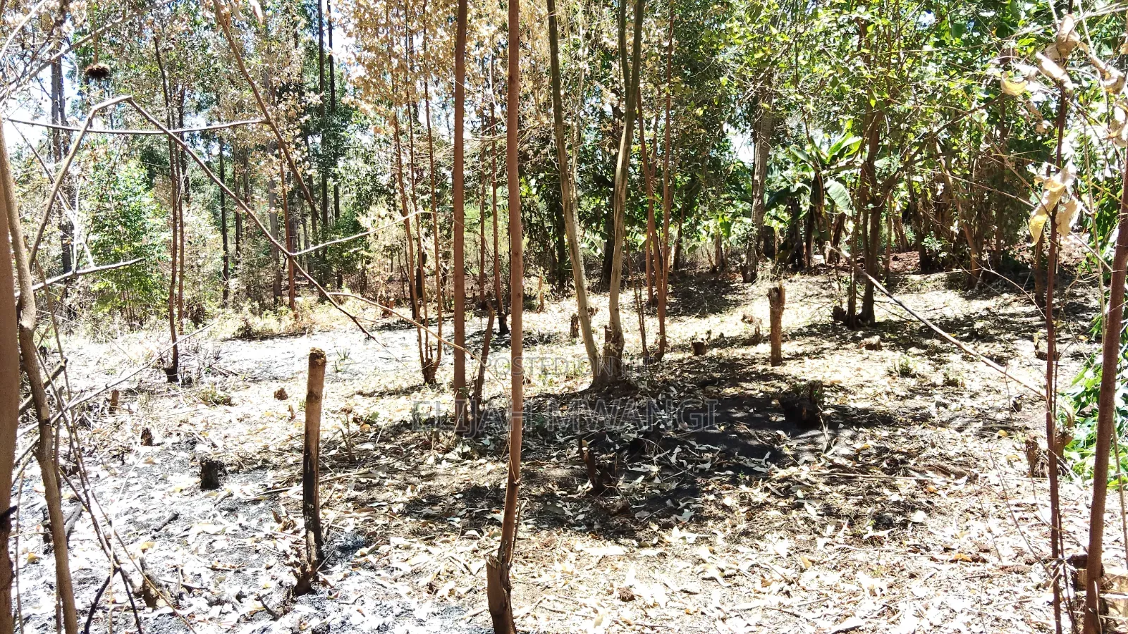 Plot 4 Sale