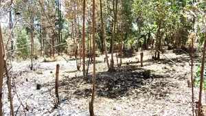 Plot 4 Sale