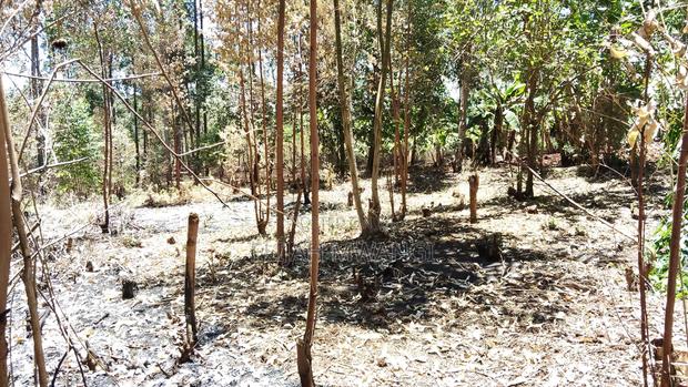 Plot 4 Sale - main view