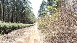 Plot 4 Sale