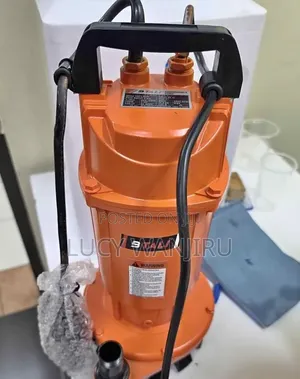 1hp Shallow Water Pump/ B-Taly Submersible Pump
