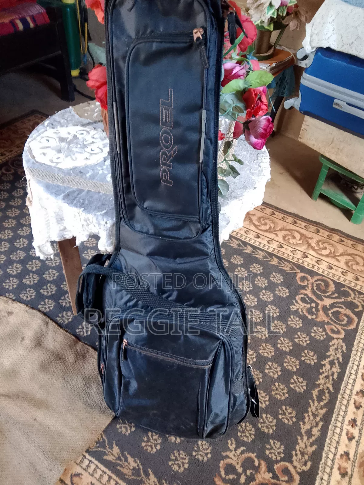 Electric Guitar