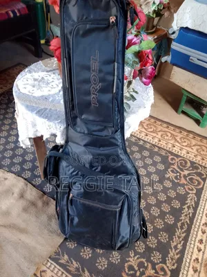 Electric Guitar