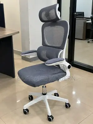 Ergonomic Orthopedic Office Chair With Headrest and Lumbar Support
