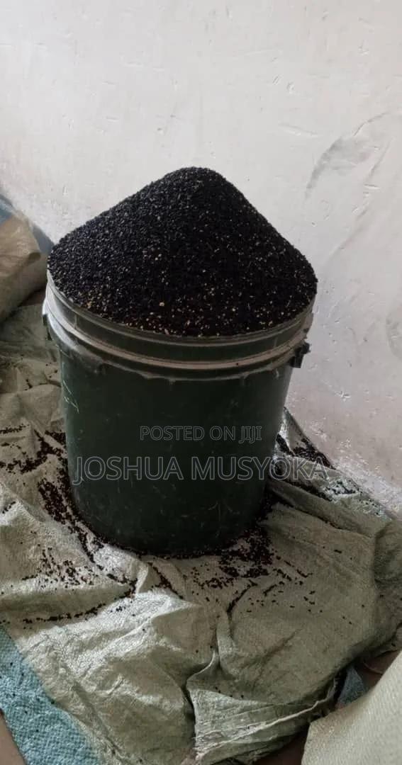 Onion Seeds(mangola) - thumbnail 2