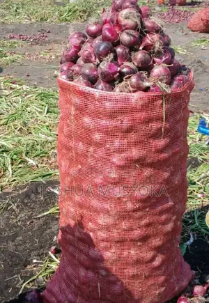 Onion Seeds(mangola)