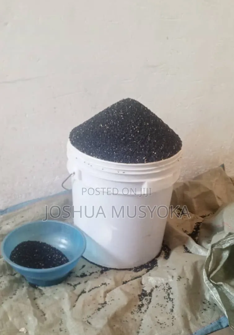 Onion Seeds(mangola)