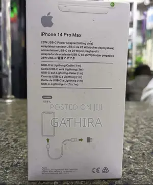 Apple iPhone Charger