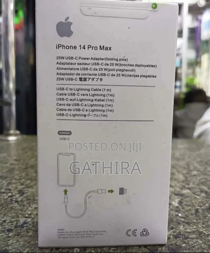 Apple iPhone Charger