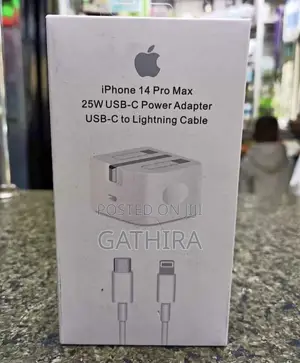 Apple iPhone Charger