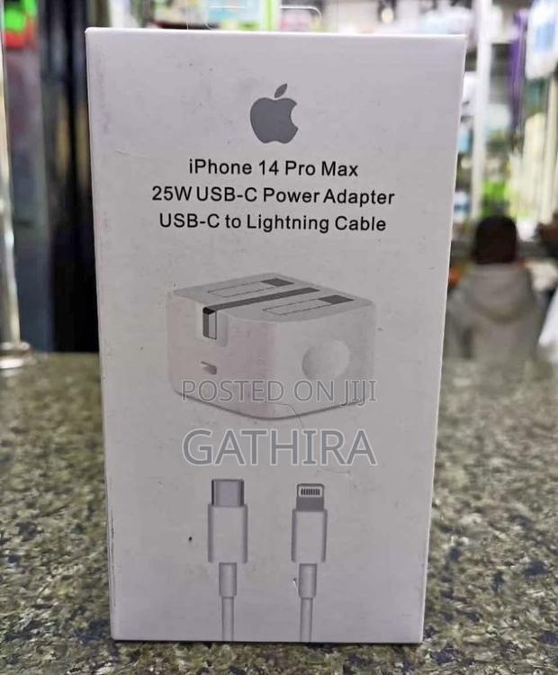 Apple iPhone Charger - main view