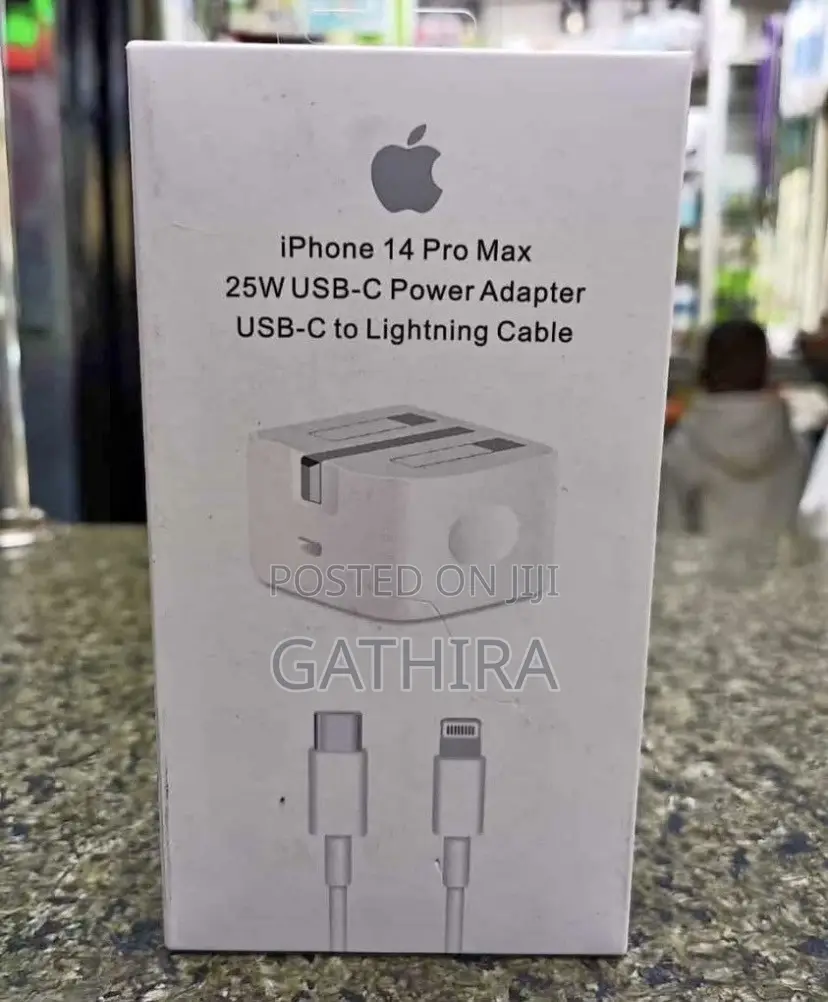 Apple iPhone Charger