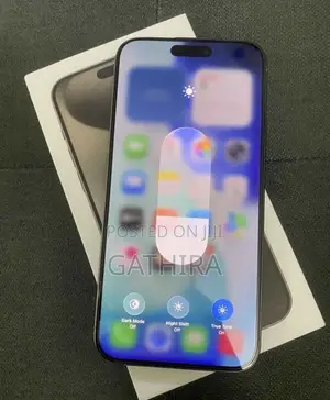 Apple iPhone 15 Pro Max 256 GB Silver