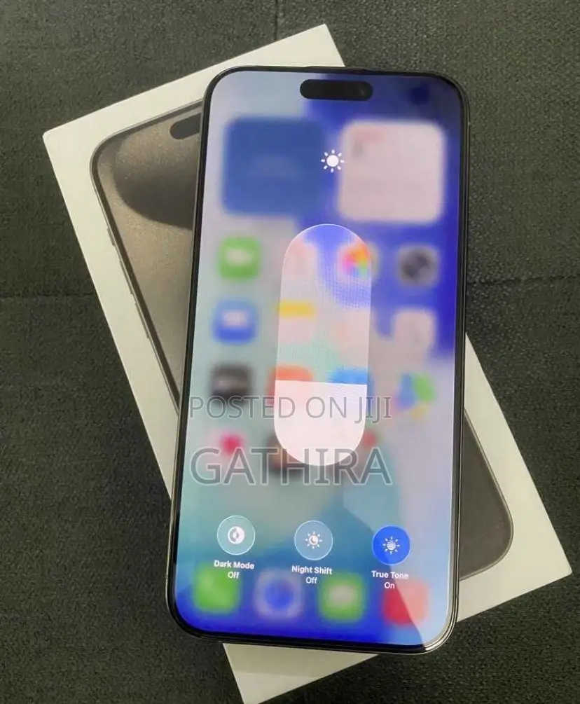Apple iPhone 15 Pro Max 256 GB Silver