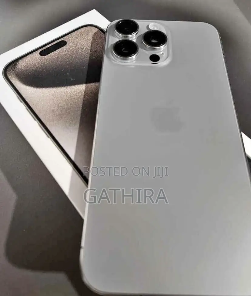 Apple iPhone 15 Pro Max 256 GB Silver