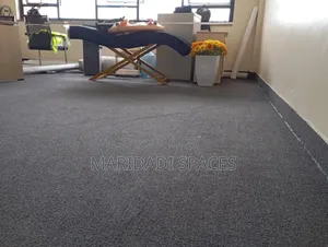 Charcoal Grey Delta Carpet Roll - Premium Soft and Warm Wall Carpet