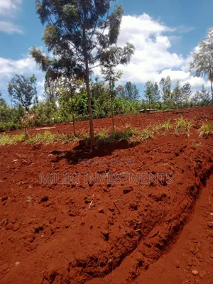 1 Acre Commercial Land on Sale at Kaharati