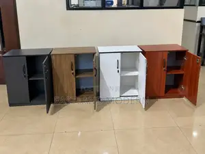Wooden Office Storage Cabinet With 2 Lockable Doors