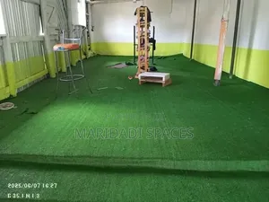 Grass Carpet-Artificial Green Turf Grass for Outdoor and Indoor