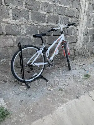 Shogun Road Bike