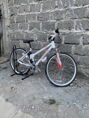Shogun Road Bike