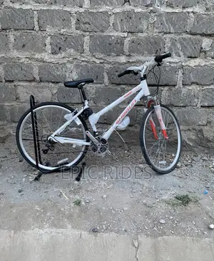 Shogun Road Bike