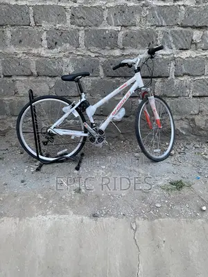 Shogun Road Bike