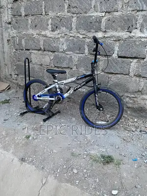 Ambush BMX