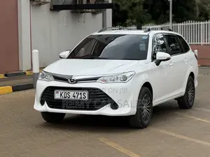 Toyota Corolla Fielder 2019 White