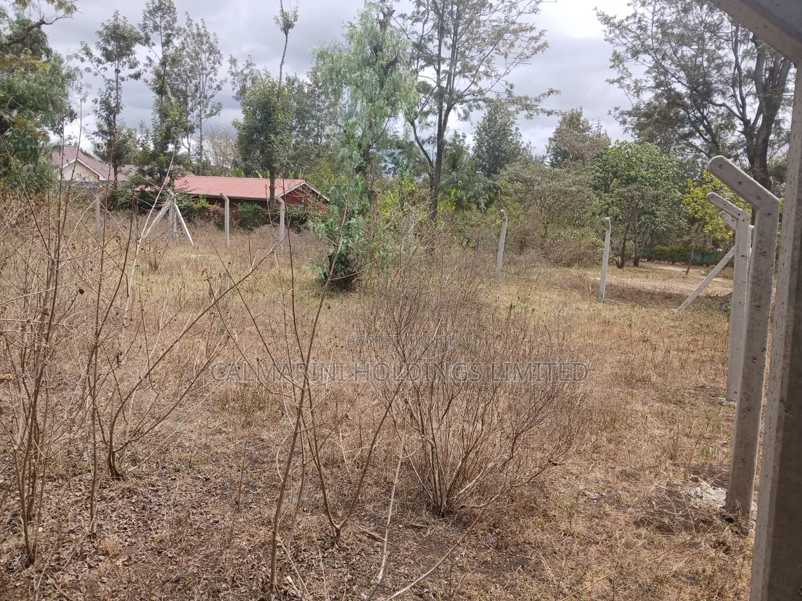 Prime 50 by 100 Plot in Kaurrai, Upper Matasia