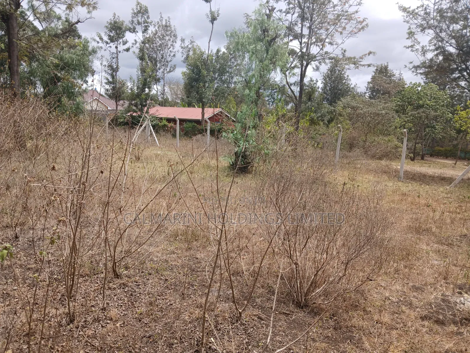 Prime 50 by 100 Plot in Kaurrai, Upper Matasia
