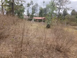 Prime 50 by 100 Plot in Kaurrai, Upper Matasia