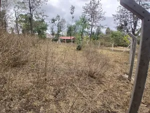 Prime 50 by 100 Plot in Kaurrai, Upper Matasia