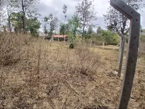 Prime 50 by 100 Plot in Kaurrai, Upper Matasia