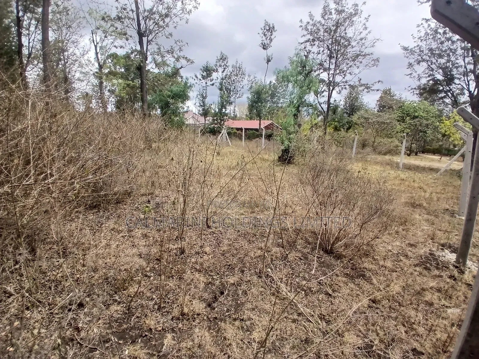 Prime 50 by 100 Plot in Kaurrai, Upper Matasia