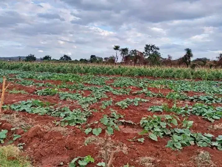 5 Acres Red Soil - Masinga Catching the Dam