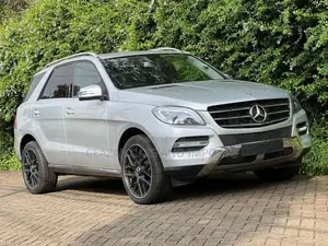Mercedes-Benz M Class 2015 Silver