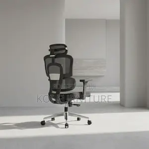 Office Chairs; Orthopedic Modern Office Mesh Reclining Seat